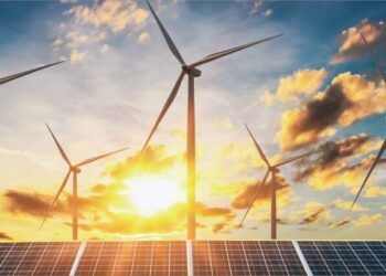 What are the key segments for the energy and utility company?