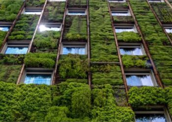 The Rise of sustainable homes eco-friendly features and green buildings