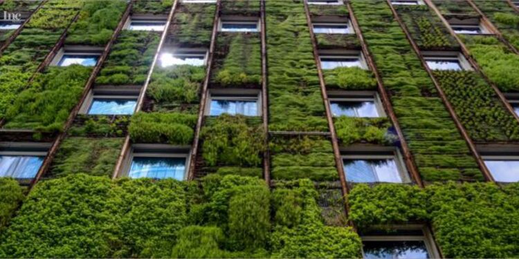 The Rise of sustainable homes eco-friendly features and green buildings