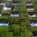 The Rise of sustainable homes eco-friendly features and green buildings