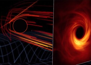 Birth of the Blackhole unveiled the spectacular phenomena